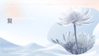 认识图形分类整理总复习课件