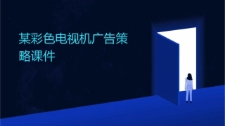 某彩色电视机广告策略课件