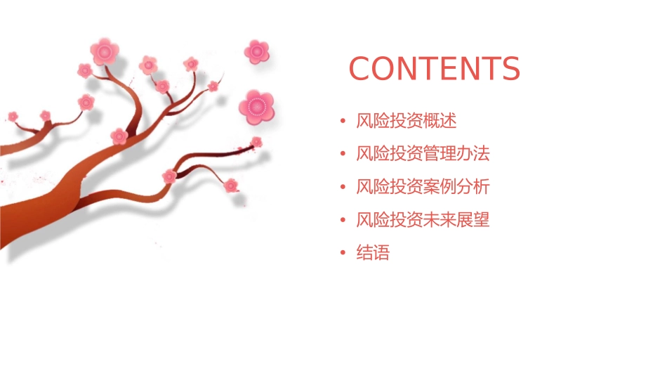 风险投资管理办法课件_第2页