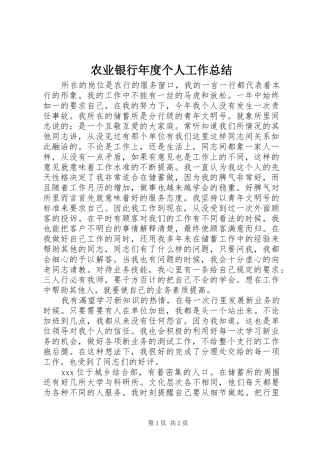 农业银行年度个人工作总结