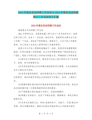 2024年营业员试用期工作总结与2024年营业员试用期转正工作总结范文汇编