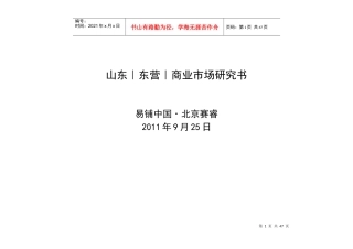 山东东营市商业市场调研