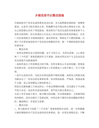 乡镇党委书记整改措施 