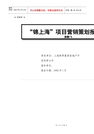 XX项目营销策划报告