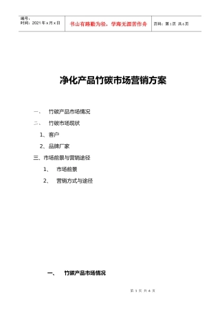 净化产品竹碳市场营销方案