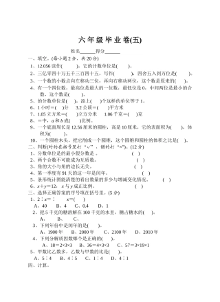苏教国标版六年级数学毕业卷5苏教版 