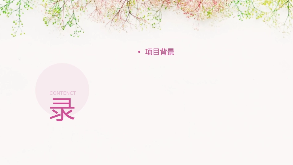 金筑香水岸项目初步构想课件_第2页