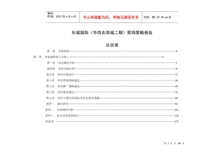 东城国际(华西农商城二期)营销策略报告