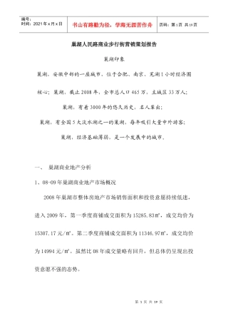 巢湖人民路商业步行街营销策划报告