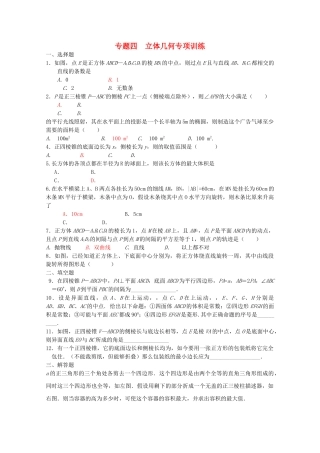 四川省2010届高三数学专题训练4 立体几何（文）（2010年3月成都研讨会资料）旧人教版 
