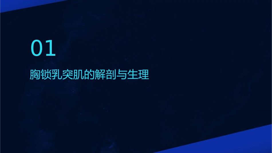 胸锁乳突肌损伤课件_第3页