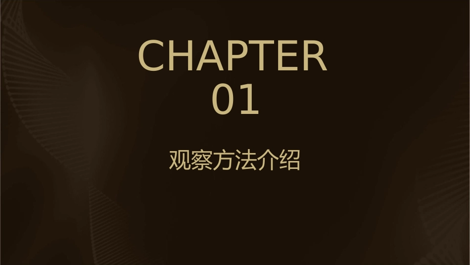 科学一年级上在观察中比较课件_第3页