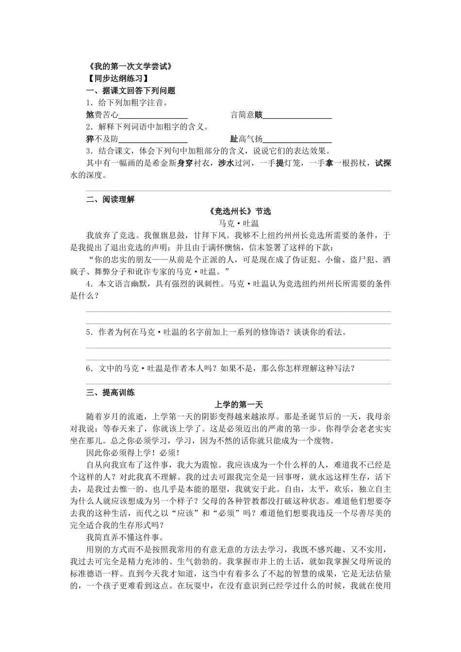 我的第一次文学尝试练习题语文版 _第1页