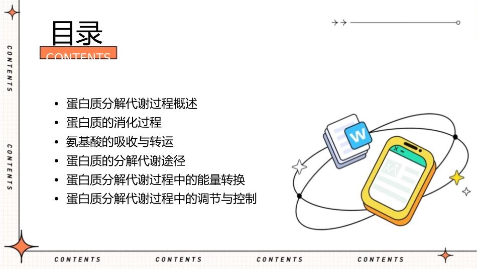 蛋白质分解代谢过程通用课件_第2页