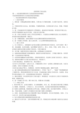 县领导班子评议意见 