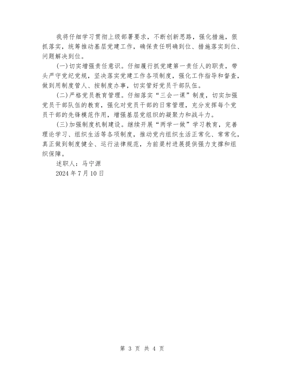 村党支部书记述职述廉述纪报告_第3页
