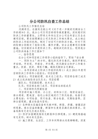 分公司防汛自查工作总结