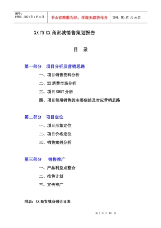 XX市XX商贸城销售策划报告