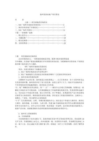 扬州某商业地产项目策划