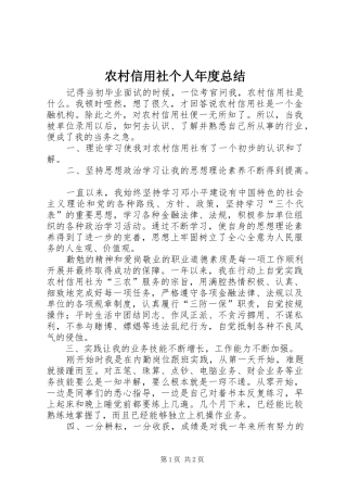 农村信用社个人年度总结