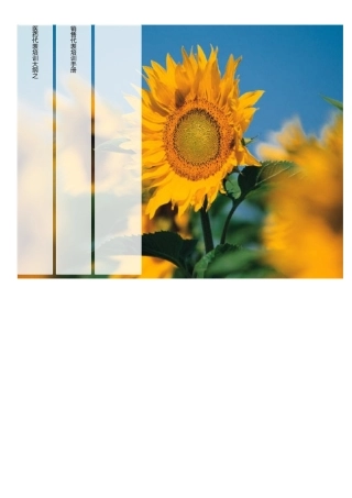 医药销售代表培训手册