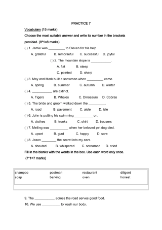 新加坡小学英语二年级试卷PRACTICE 72 