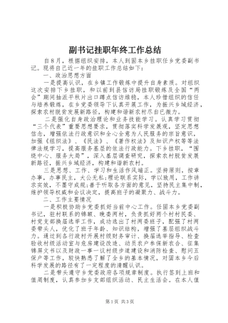 副书记挂职年终工作总结