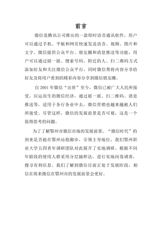 微信调研报告书