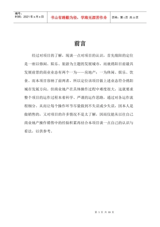 商业街营销报告