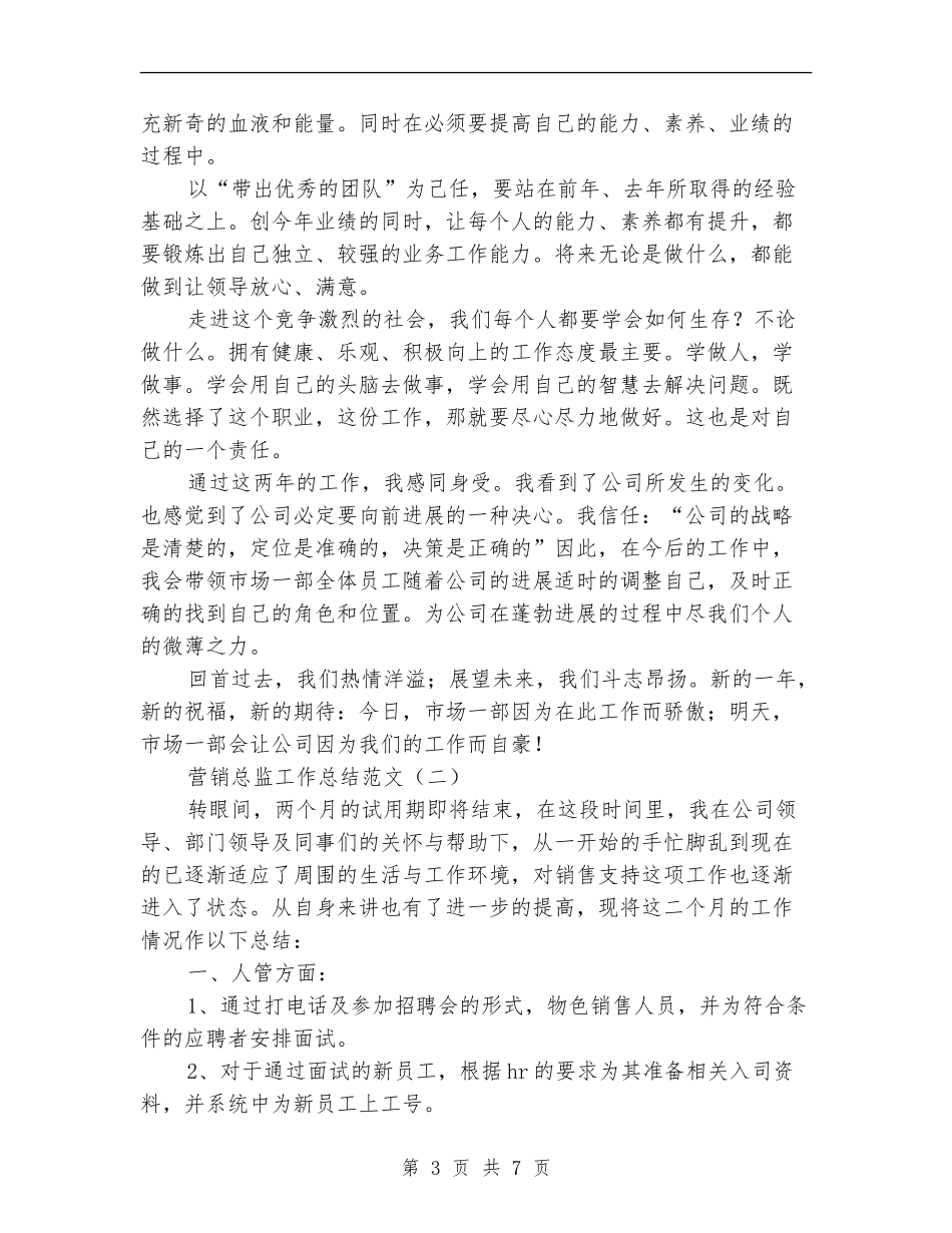 营销总监工作总结范文_第3页
