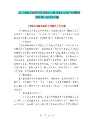 2024年市陈规陋俗专项整治工作方案与2024年师徒结对指导计划范文汇编