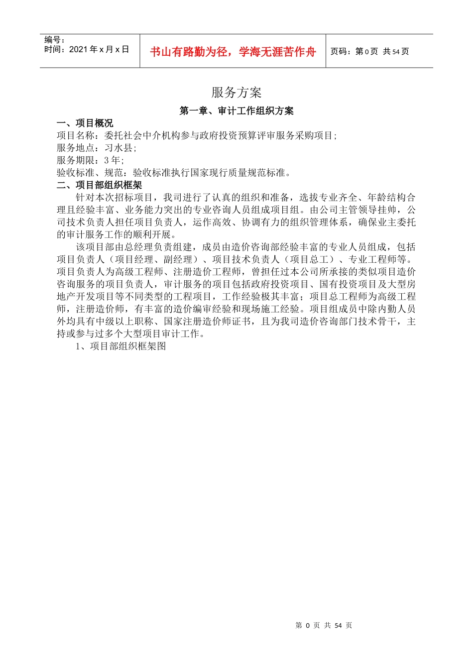审计服务方案_第1页