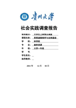 大学生上网情况调查