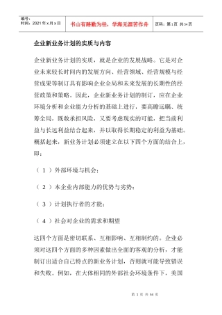 企业新业务计划的实质与内容下载
