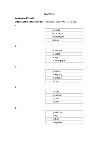 新加坡小学英语试卷一年级PRACTICE 32 