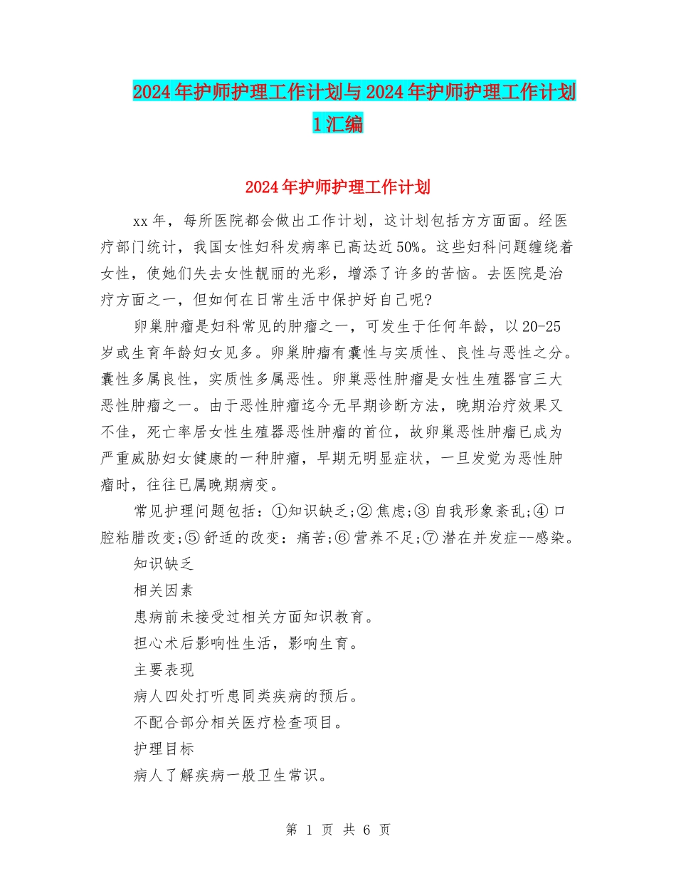 2024年护师护理工作计划与2024年护师护理工作计划1汇编_第1页