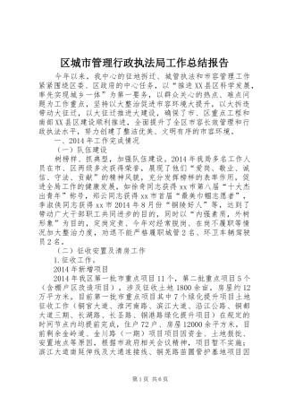 区城市管理行政执法局工作总结报告