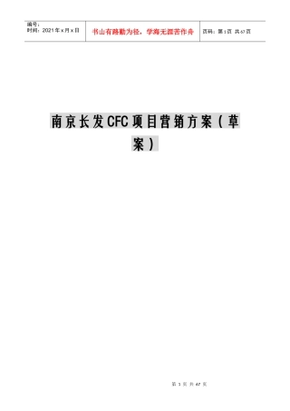 南京房地产项目营销方案
