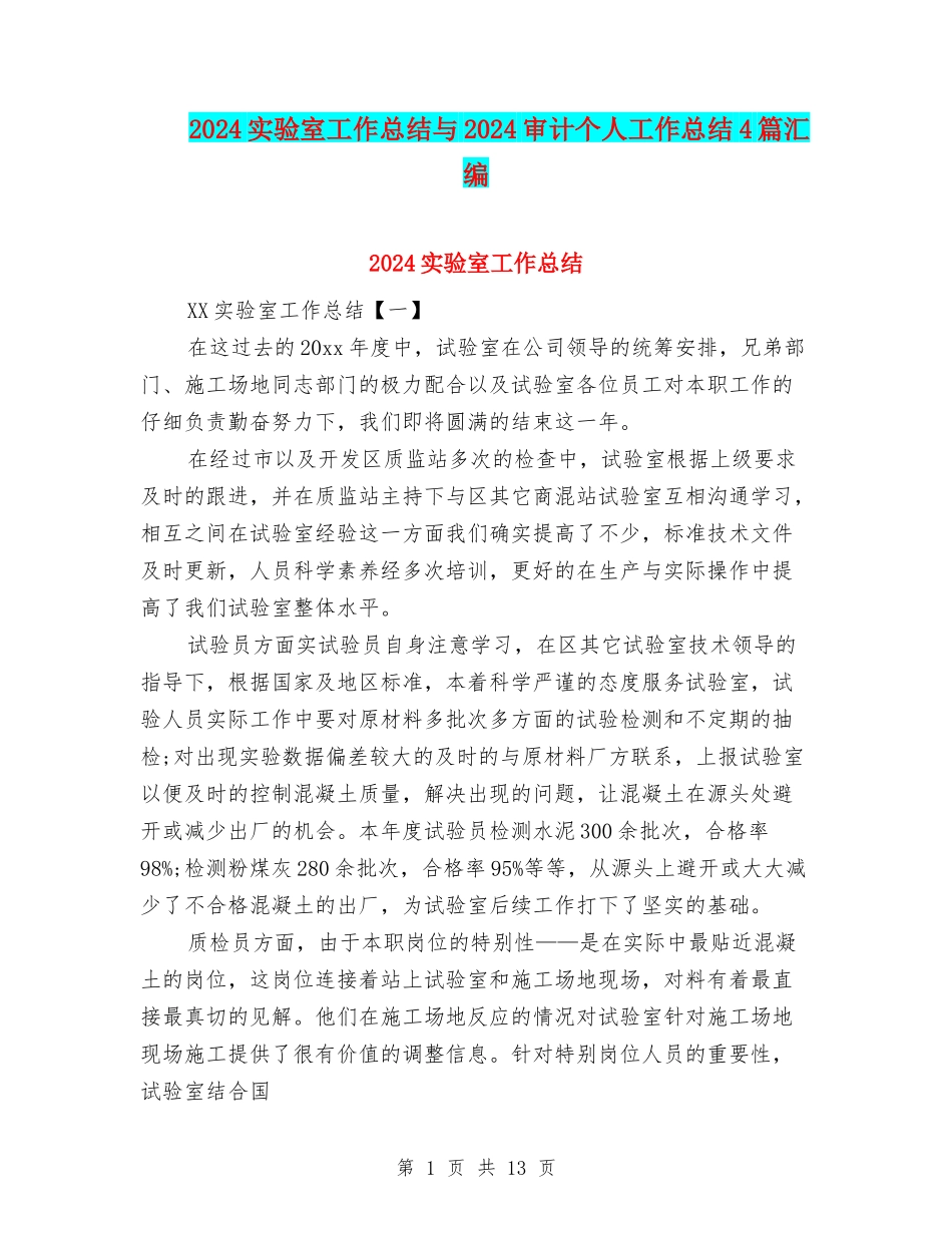 2024实验室工作总结与2024审计个人工作总结4篇汇编_第1页