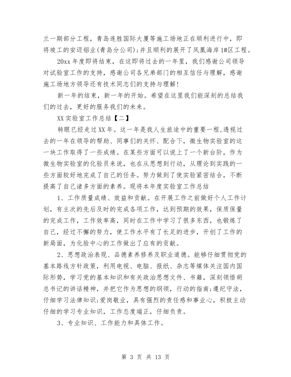 2024实验室工作总结与2024审计个人工作总结4篇汇编_第3页
