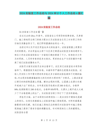 2024实验室工作总结与2024审计个人工作总结4篇汇编