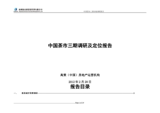 中国茶市三期调研及定位报告