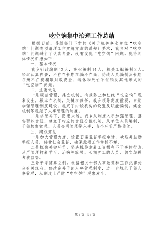 吃空饷集中治理工作总结