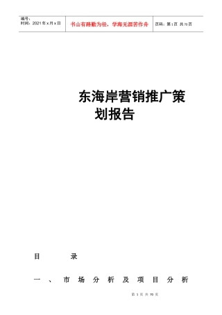 东海岸营销推广策划报告