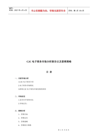 CC电子商务市场分析报告与营销策略