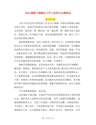 2024基层干部践行三严三实学习心得体会