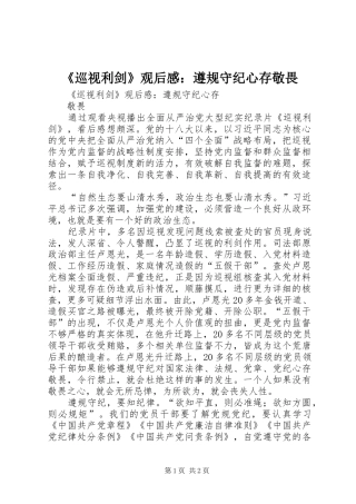 《巡视利剑》观后感：遵规守纪心存敬畏