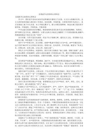 县委副书记挂职的心得体会参考 