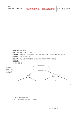 DNS域名服务器的实验报告