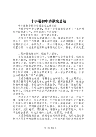 十字道初中防欺凌总结